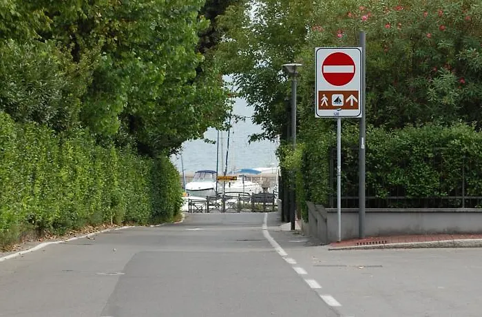 Sophora * Moniga del Garda