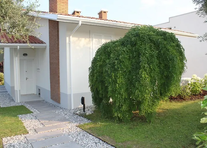 Sophora * Moniga del Garda